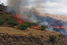 Wildfire on slope